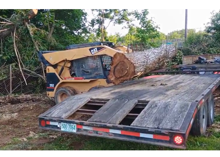 The Journey of a Wooden Masterpiece